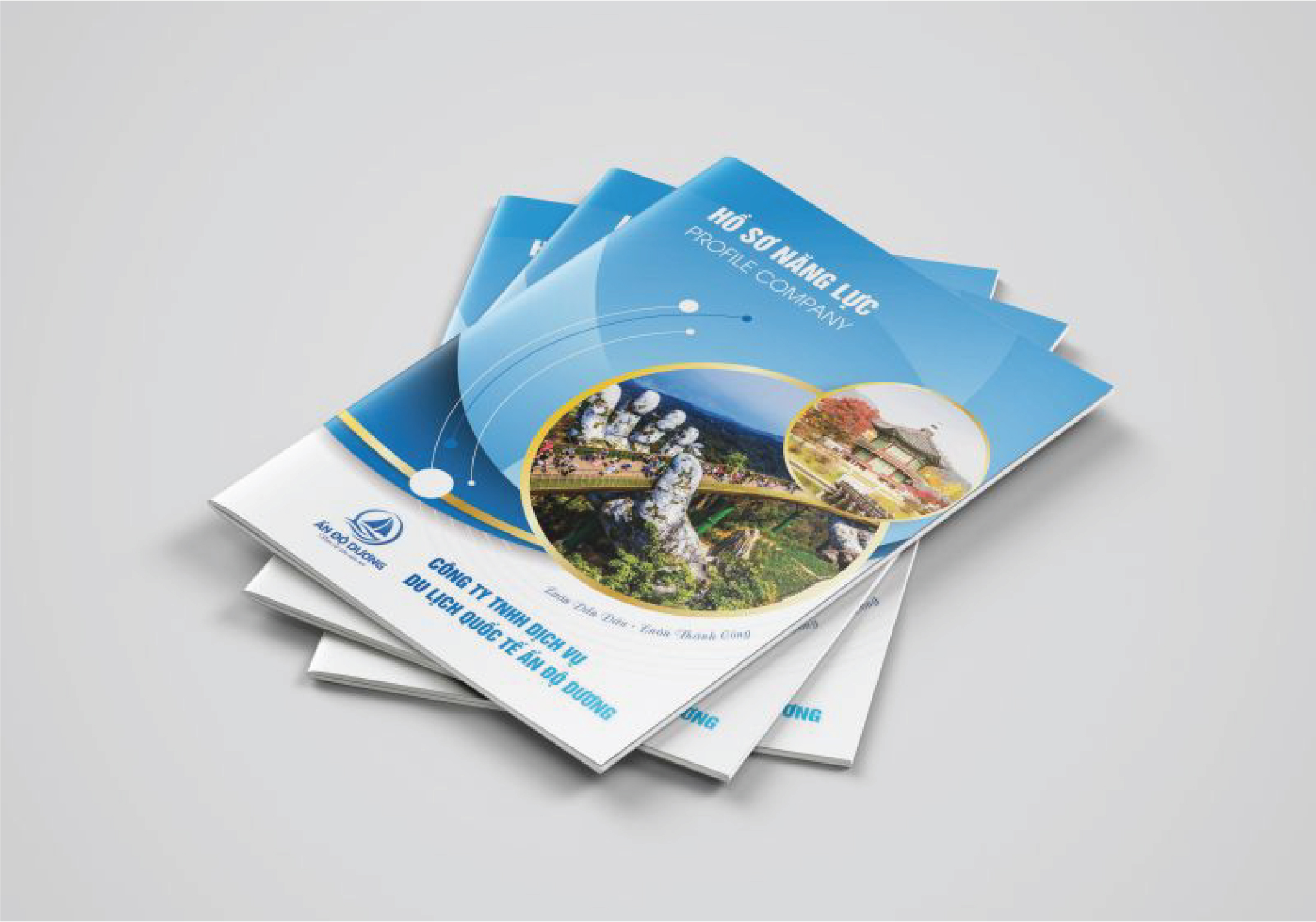 Thiết kế hồ sơ năng lực giá rẻ | Làm gấp nhận file trong 2 ngày